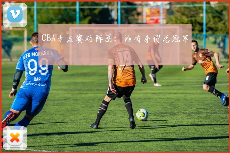CBA季后赛对阵图：谁将夺得总冠军？
