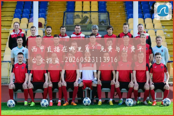 西甲直播在哪里看？免费与付费平台全指南_20260523113916