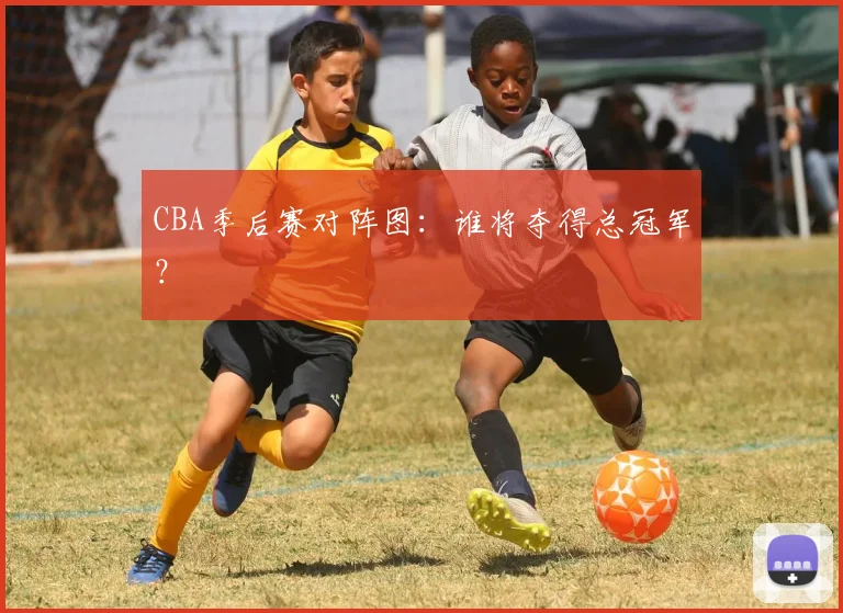 CBA季后赛对阵图:谁将夺得总冠军?